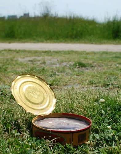 Surströmming Röda Ulven 300g Dose (fermentierte Heringe) - 400g/300g Fisch - Image 6