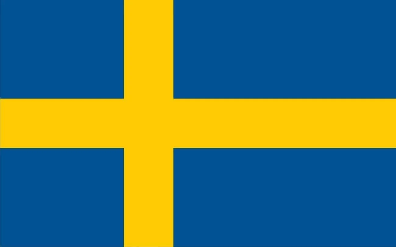 Surströmming Röda Ulven 300g Dose (fermentierte Heringe) - 400g/300g Fisch - Image 7